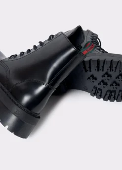 Bota piel acordonada*Brownie New