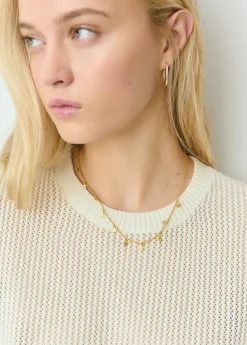 Collar estrellas*Brownie Best