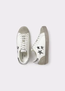 Deportiva estrellas*Brownie Discount